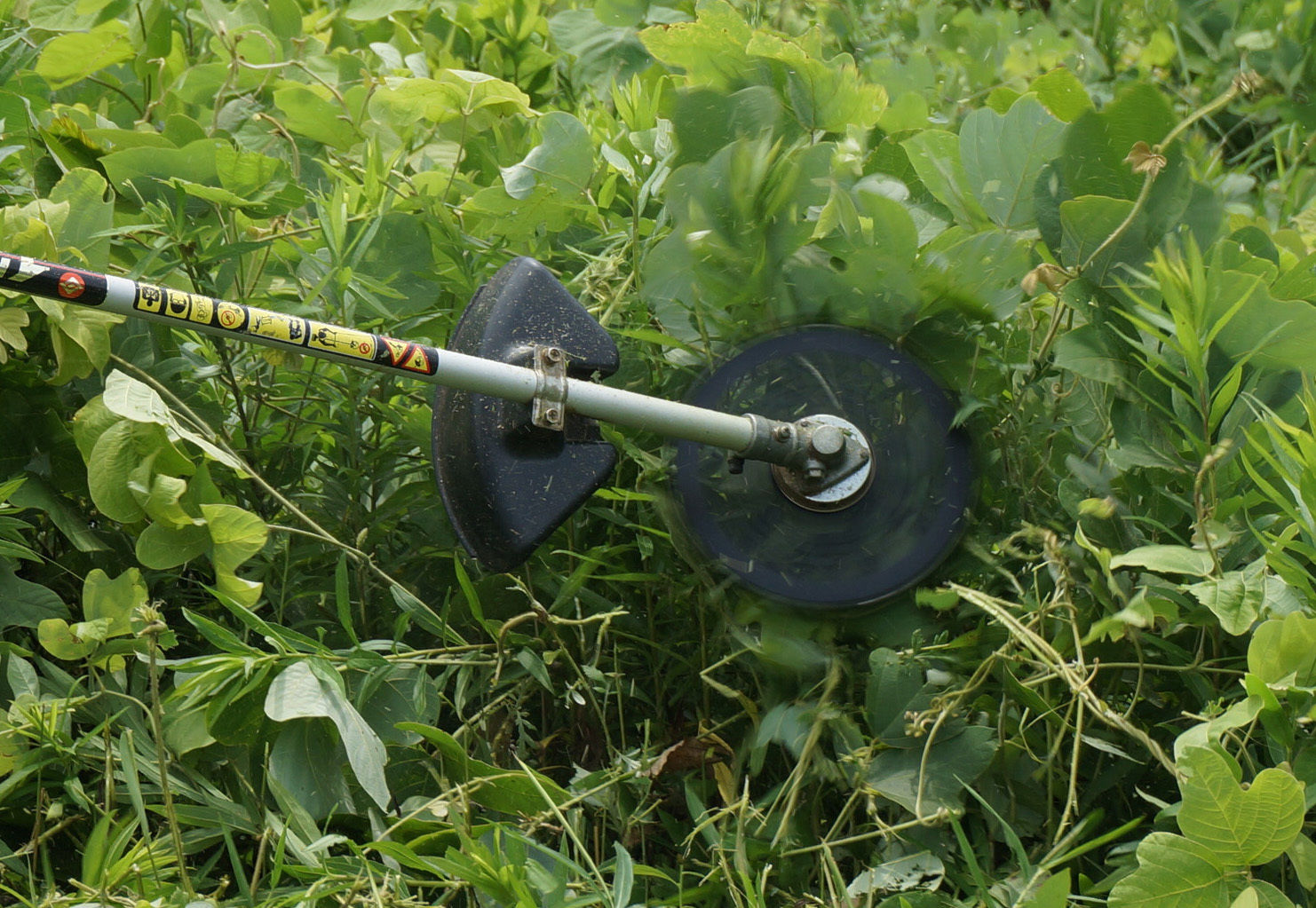 Japanese strimmer grass cutter Ivy shreeder blade disc,230 x1,6x 25,4 x