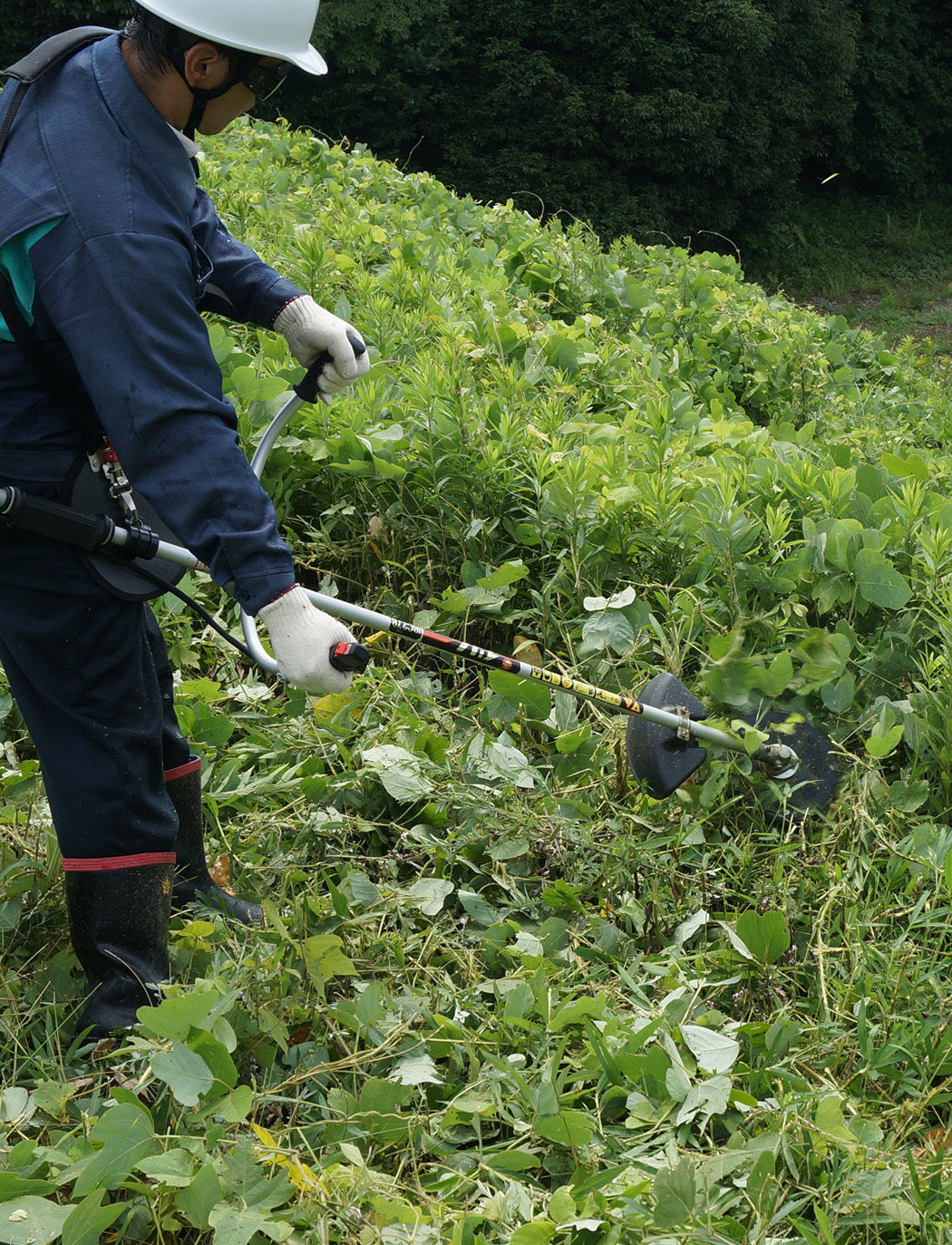 Japanese strimmer grass cutter Ivy shreeder blade disc,230 x1,6x 25,4 x